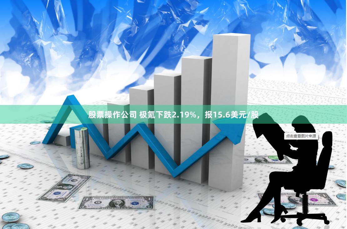 股票操作公司 极氪下跌2.19%，报15.6美元/股